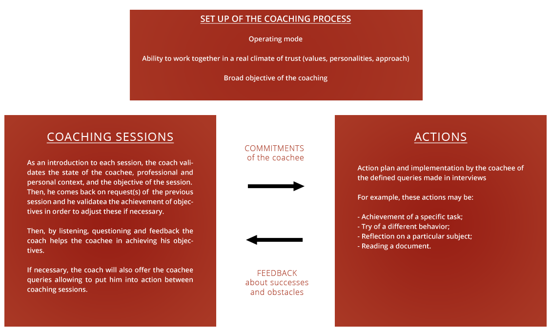 Business Coaching Methodology diagram showing the 5-step process